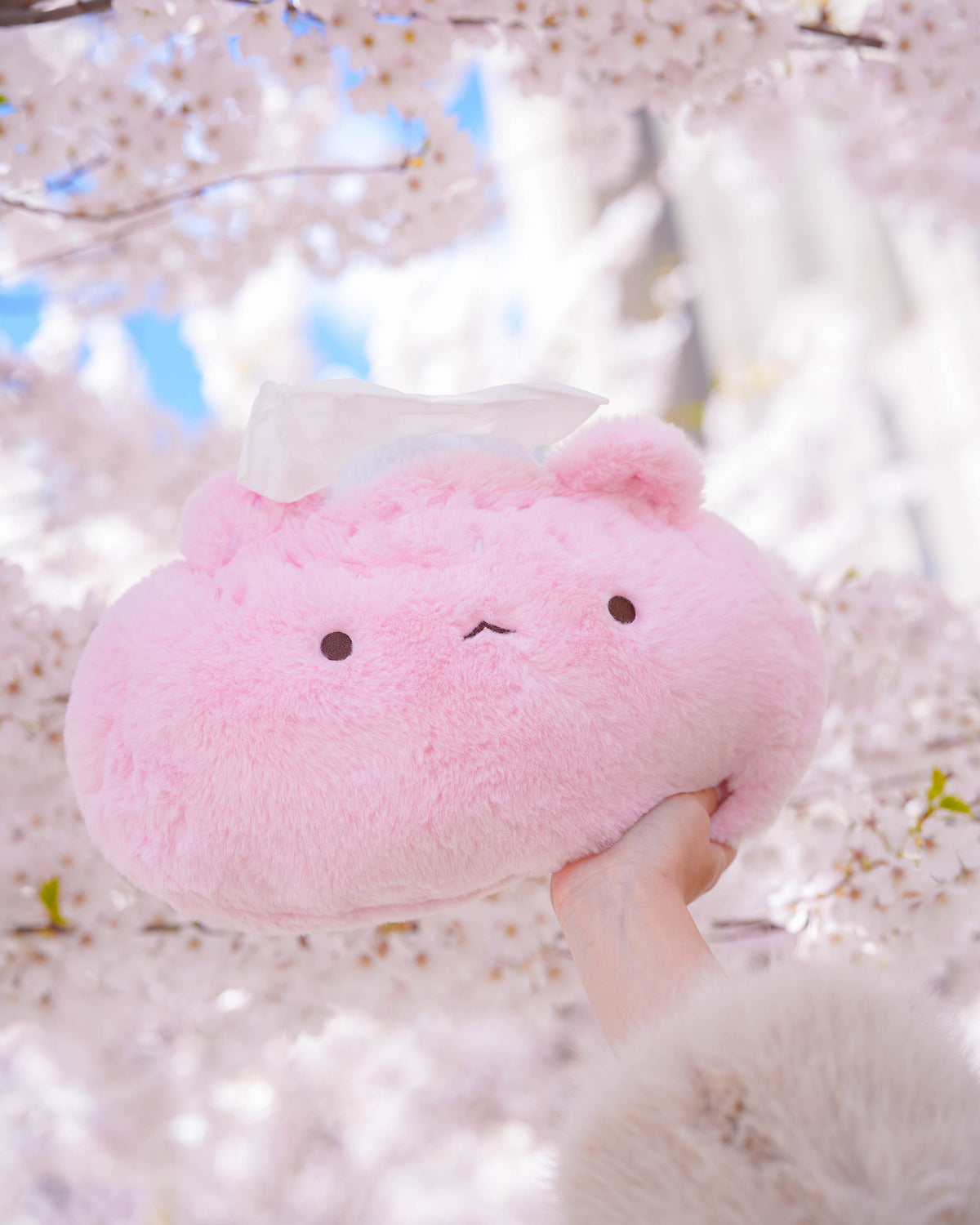 PREORDER ✿ Sakura Mochi ♡ Tissue Holder