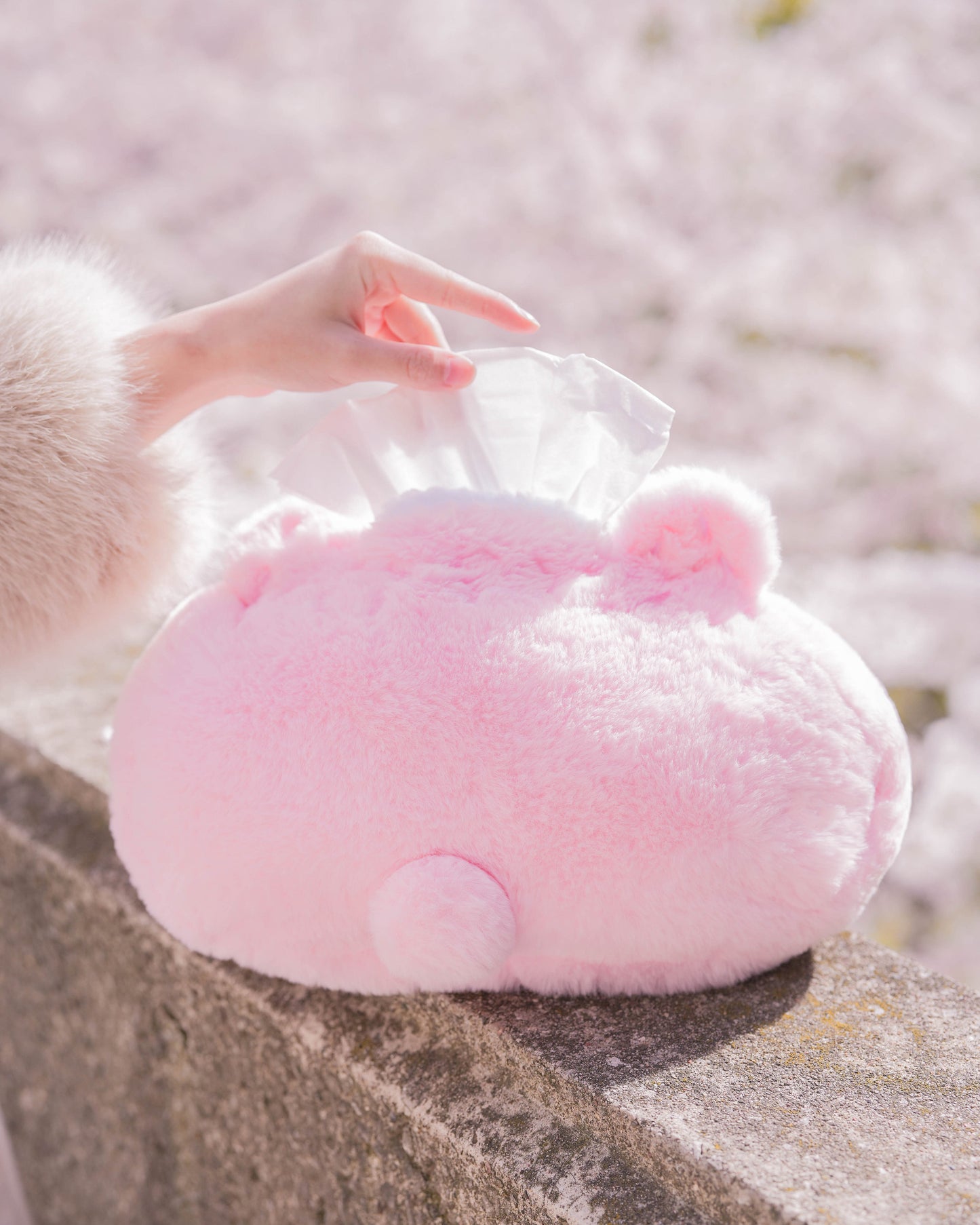 PREORDER ✿ Sakura Mochi ♡ Tissue Holder