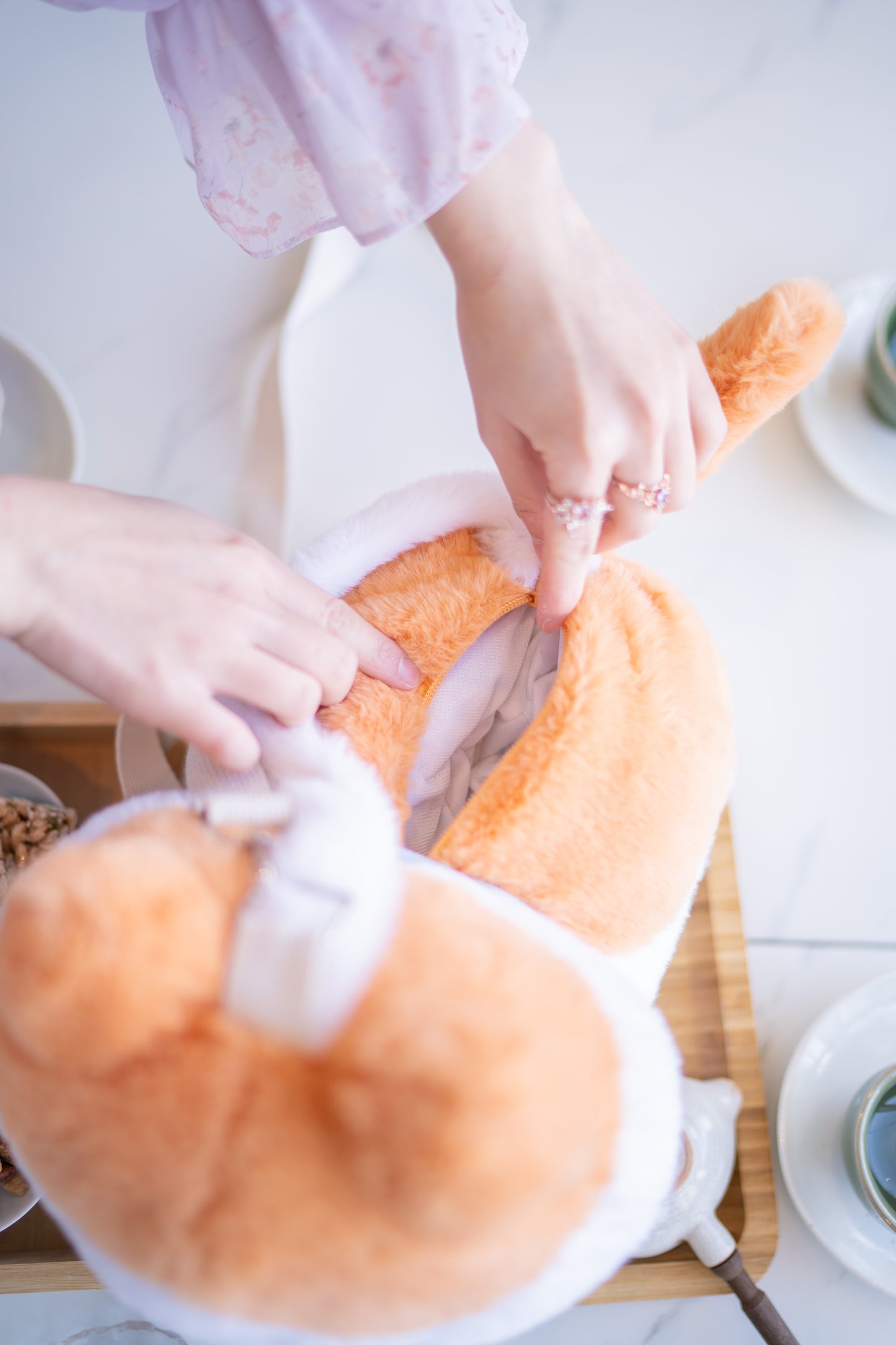 Pumpkin Spice Cat ♡ Plush Purse