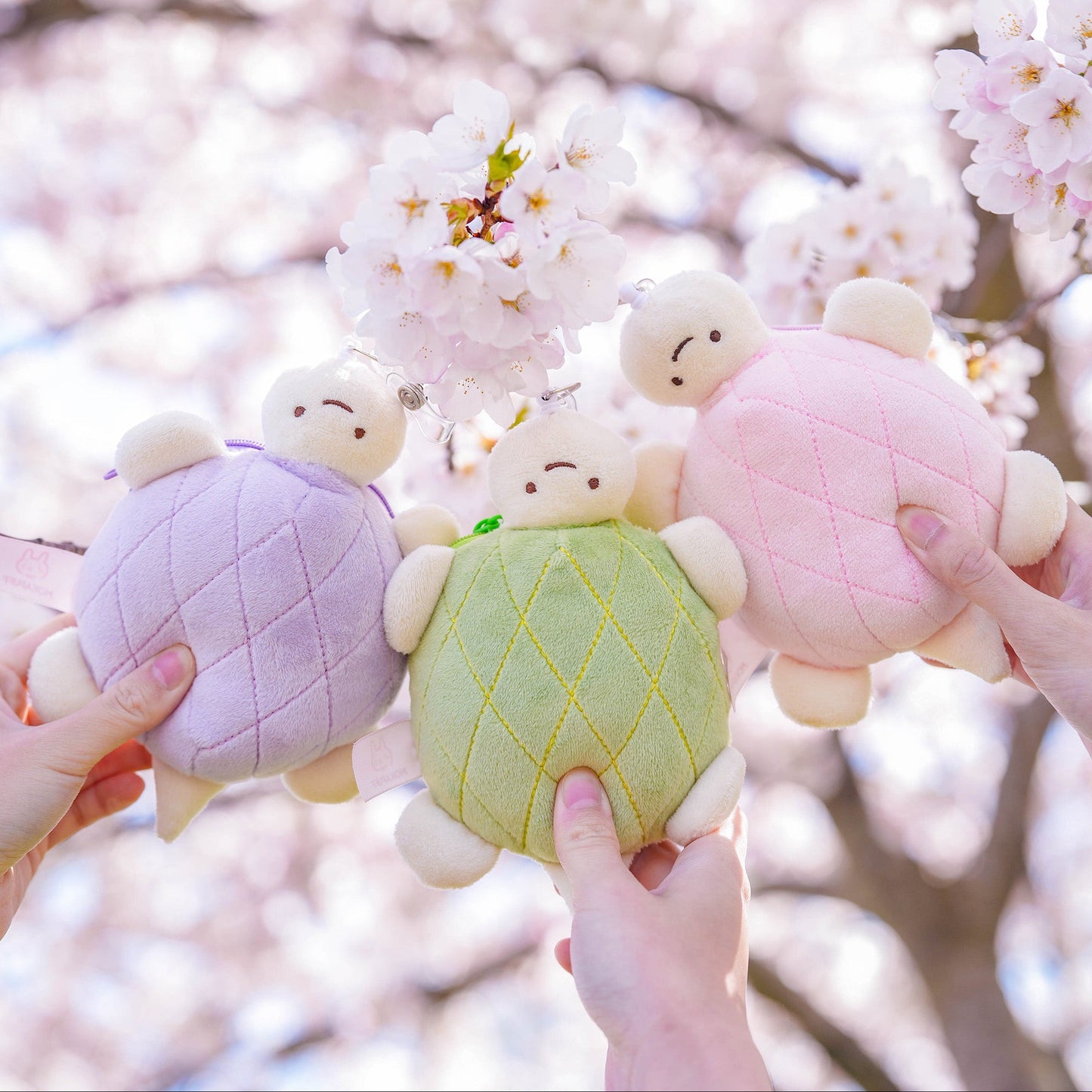 Melon-pan ♡ Coin Pouch/Card Holder