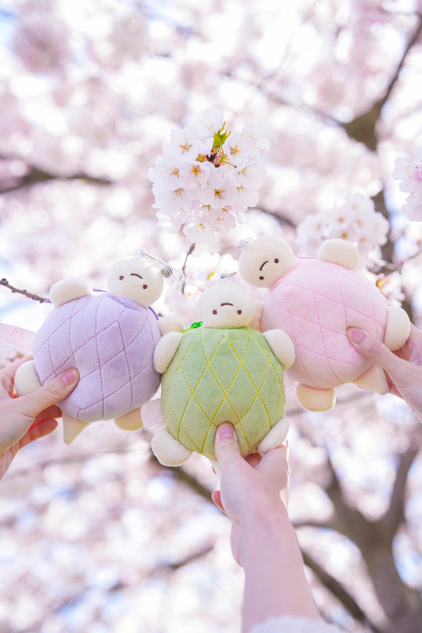 Melon-pan ♡ Coin Pouch/Card Holder
