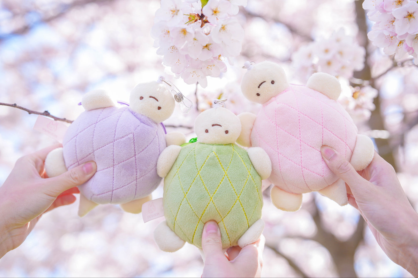 Melon-pan ♡ Coin Pouch/Card Holder