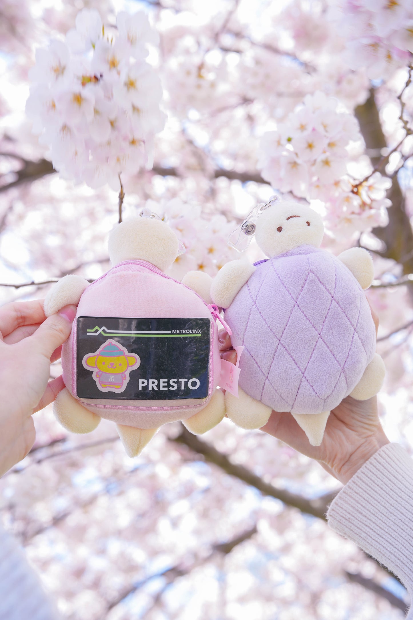 Melon-pan ♡ Coin Pouch/Card Holder