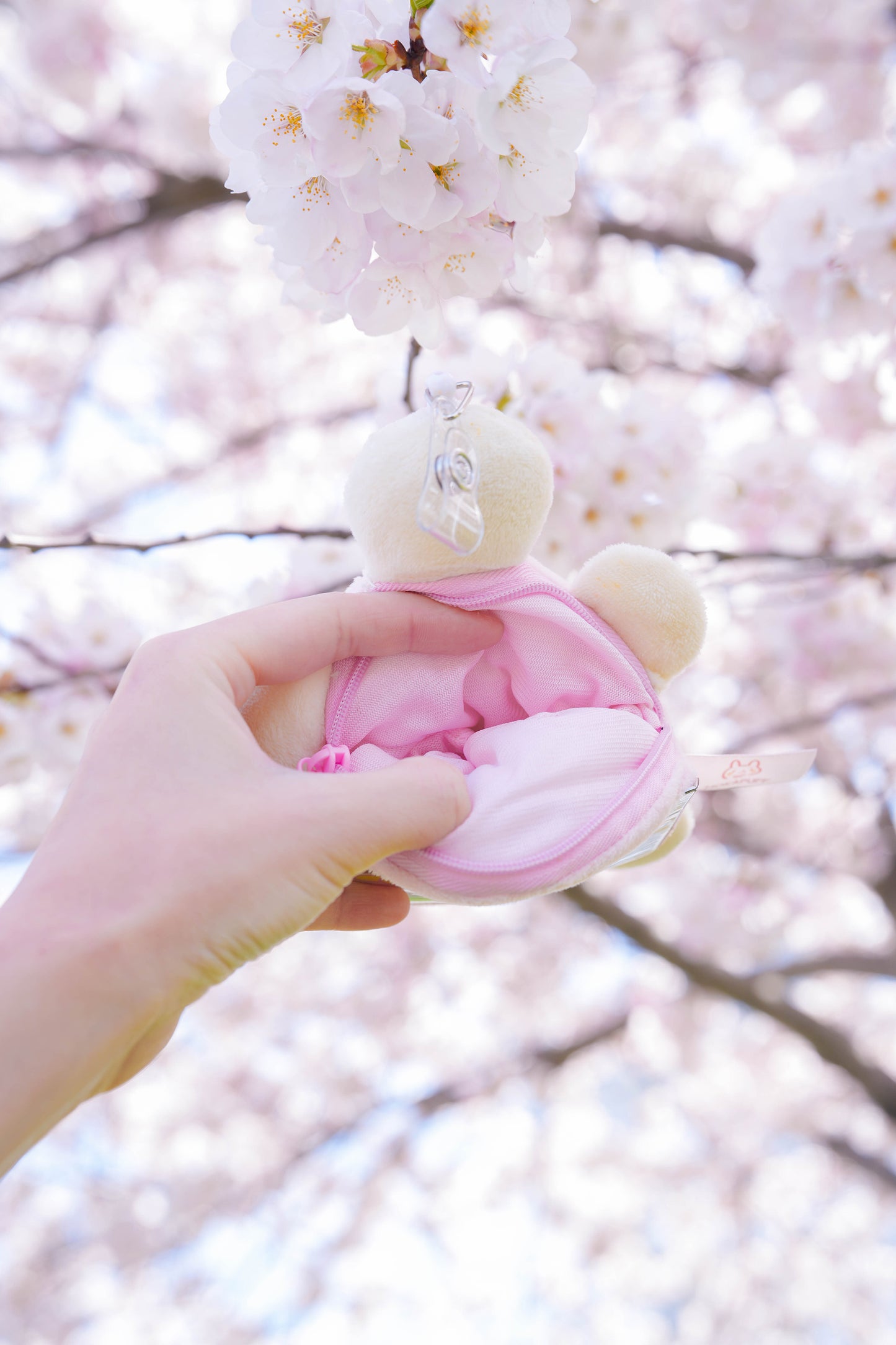 Melon-pan ♡ Coin Pouch/Card Holder