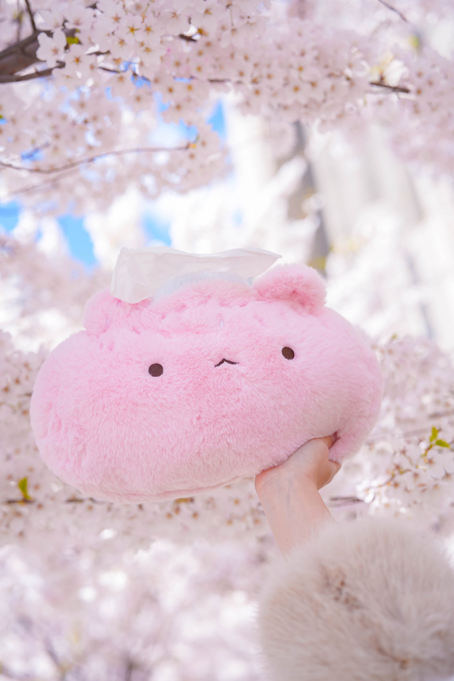 PREORDER ✿ Sakura Mochi ♡ Tissue Holder