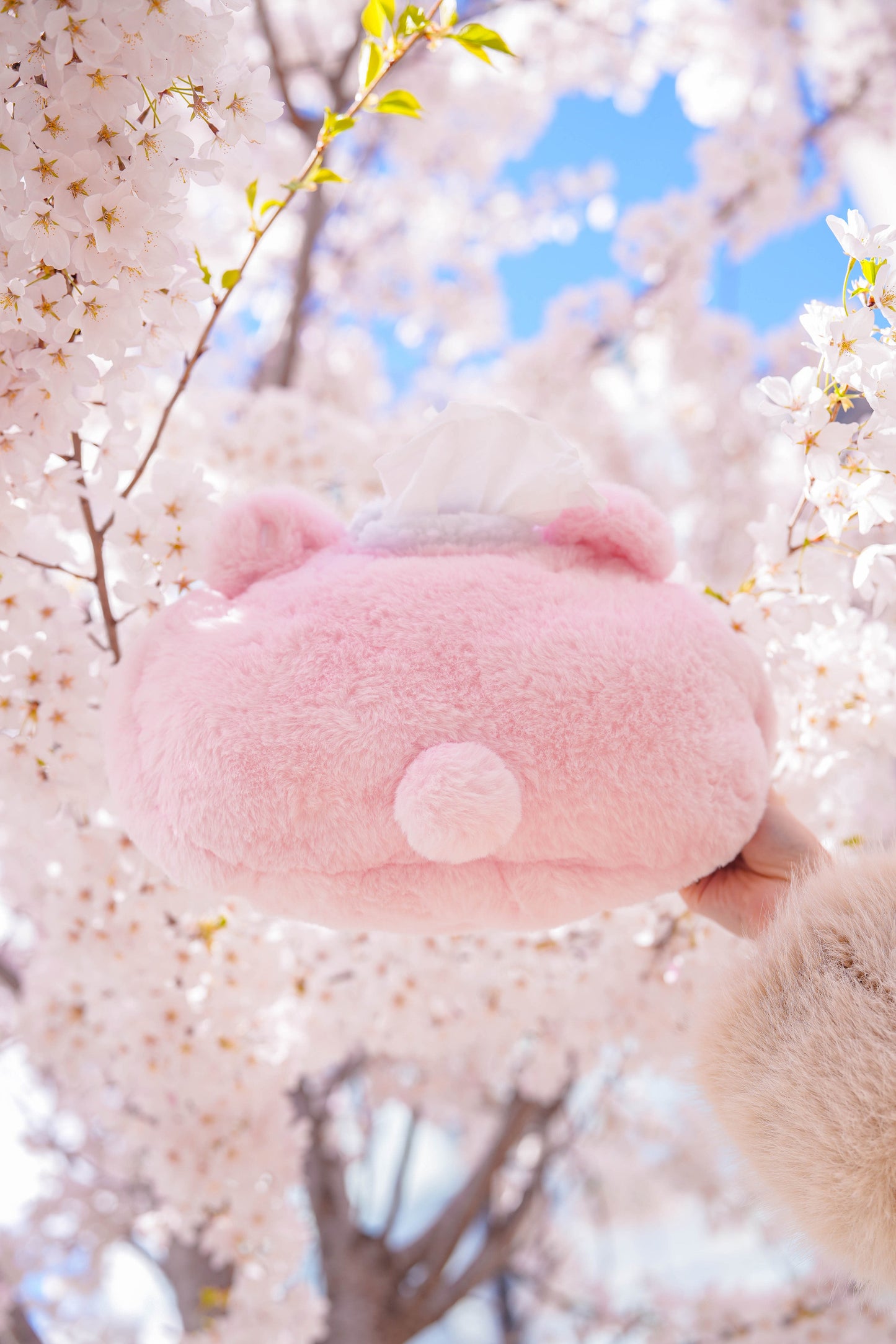 PREORDER ✿ Sakura Mochi ♡ Tissue Holder