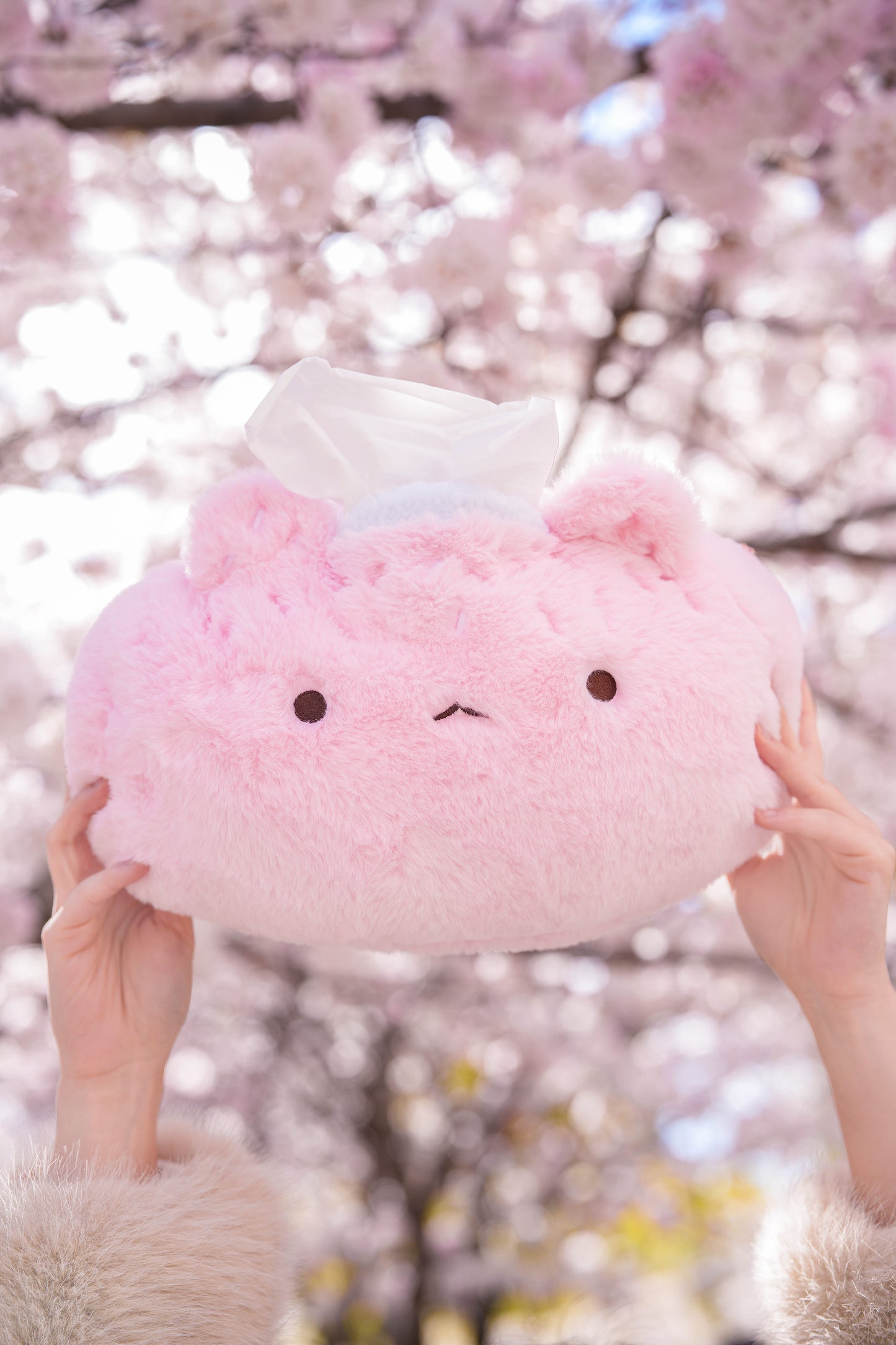 PREORDER ✿ Sakura Mochi ♡ Tissue Holder