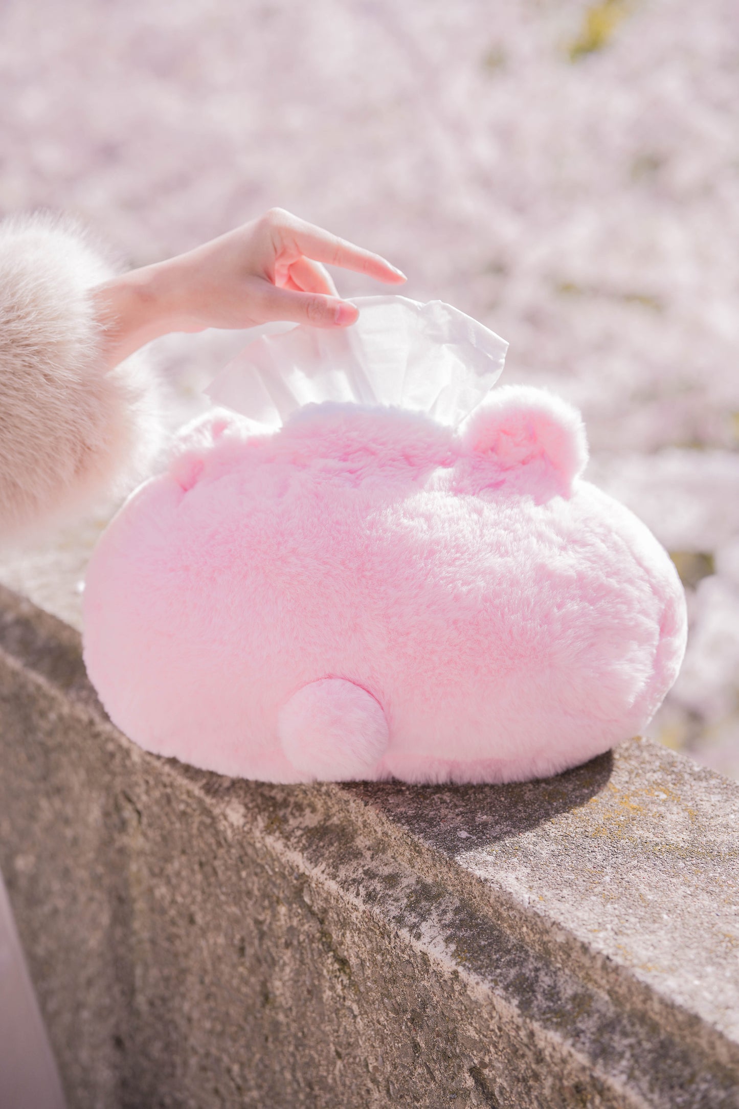 PREORDER ✿ Sakura Mochi ♡ Tissue Holder